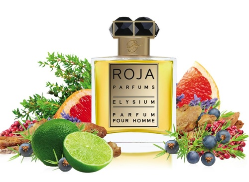 בושם לגבר רוג'ה Roja Elysium Parfum Pour Homme  50 ml