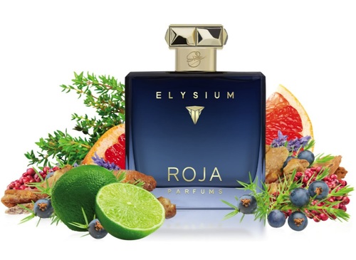 בושם לגבר רוג'ה Roja Elysium Pour Homme EDP 100 ml