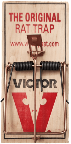 מלכודת קפיץ VICTOR מקורית לחולדות עשויה עץ איכותי מארה