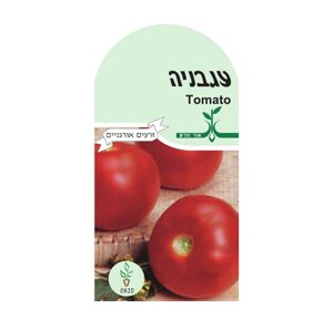 זרעי ירקות – עגבנייה