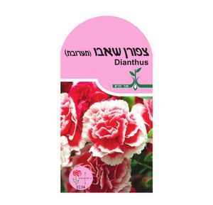 זרעי פרחים - ציפורן שאבו