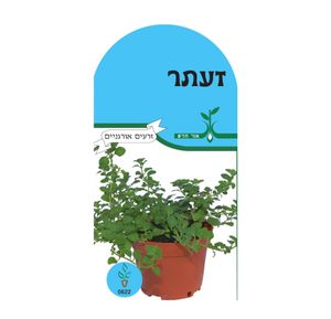 זרעי תבלין - זעתר