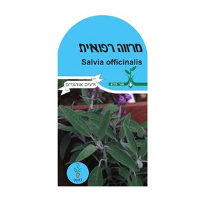 זרעי תבלין - מרווה רפואית