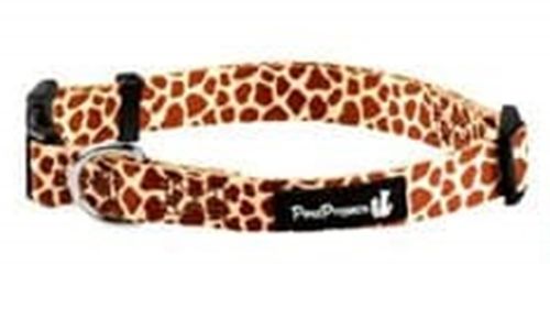 פטספרוג'קט קולר בייסיק M צבעוני (בחר מגדר) - 20 מ