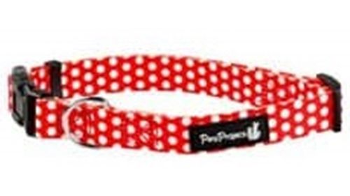 פטספרוג'קט קולר בייסיק L צבעוני (בחר מגדר) - 25 מ