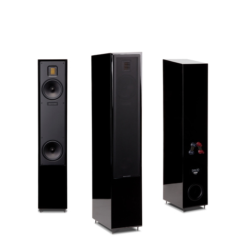 Martinlogan motion 20