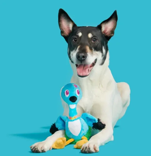 בארק בובת אנני האווזה לכלב BARK