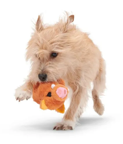 בארק בובת באו חזיר הבר לכלב BARK