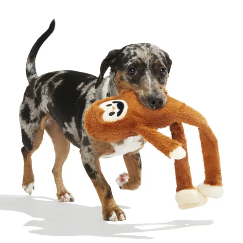 בארק בובת ג'וש הסקוויזי לכלב BARK