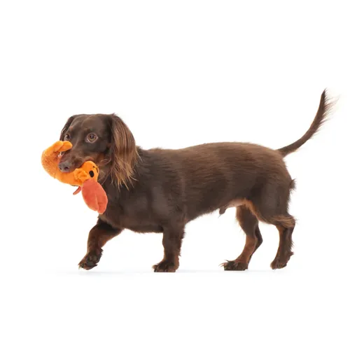 בארק בובת דאלה הסרטנית לכלב BARK