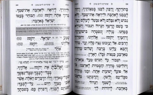 מחזור לראש השנה עבודה שבלב