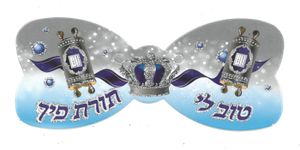 20 פפיון טוב לי תורת פיך כחול כסף נצנץ