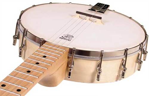 בנג'ו 5 מיתרים Deering Goodtime Banjo Open Back