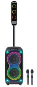 בידורית + קולונה 350W כולל 2 מיקרופונים אלחוטיים PURE ACOUSTICS DANCER-X820