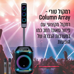בידורית +קולונה  250W כולל 2 מיקרופונים אלחוטיים PURE ACOUSTICS DANCER-X800