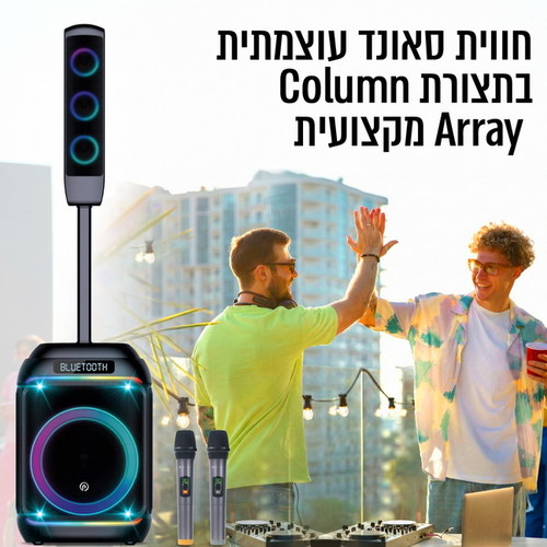 בידורית +קולונה  250W כולל 2 מיקרופונים אלחוטיים PURE ACOUSTICS DANCER-X800