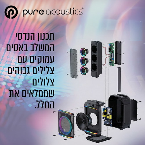 בידורית +קולונה  250W כולל 2 מיקרופונים אלחוטיים PURE ACOUSTICS DANCER-X800