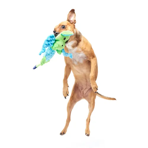 בארק בובת המברט הדרקון לכלב BARK