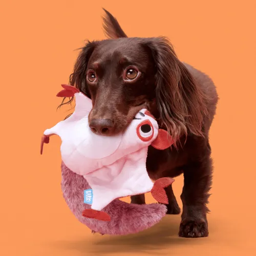 בארק בובת סיידר השוגר גליידר לכלב BARK