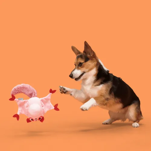 בארק בובת סיידר השוגר גליידר לכלב BARK