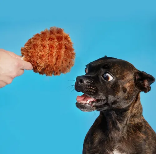 בארק בובת פולקה עסיסית לכלב BARK