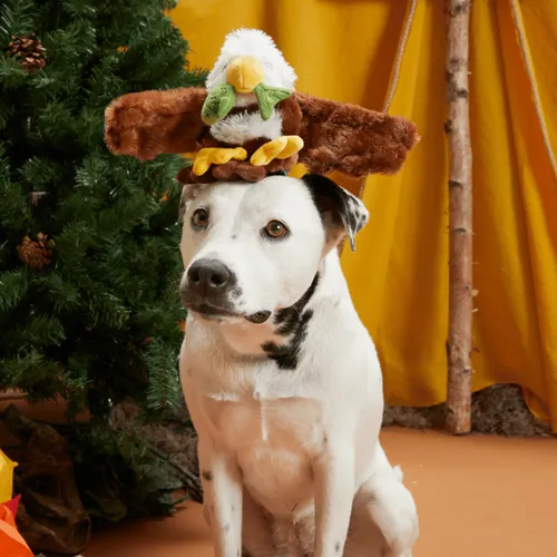 בארק בובת פטר הנשר לכלב BARK