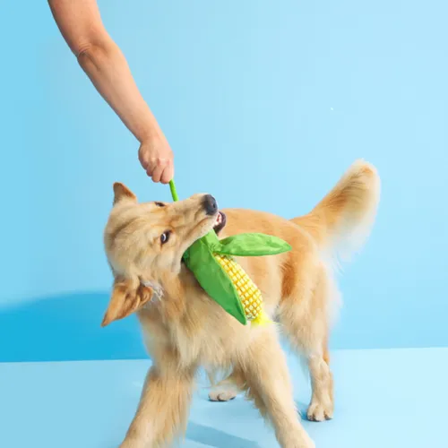 בארק בובת קלח תירס לכלב BARK