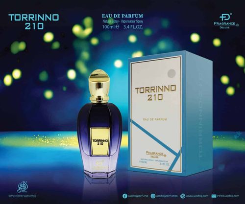 TORRINNO 210 Fragrance Deluxe בהשראת Torino21 Xerjoff 100 ML EDP