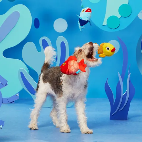 בארק בובת שלישיית דגיגים לכלב BARK