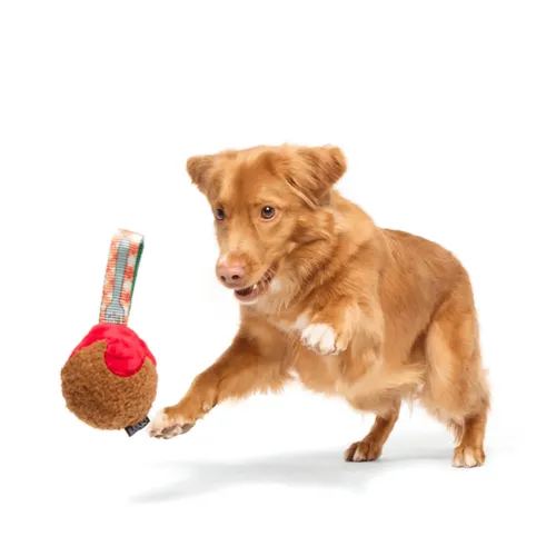 בארק צעצוע כדור בשר לחיץ לכלב BARK