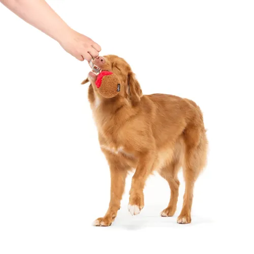 בארק צעצוע כדור בשר לחיץ לכלב BARK
