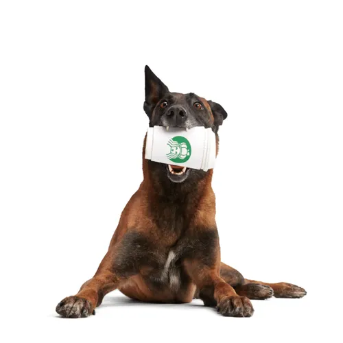 בארק צעצוע כוס קפוצ'ינו לכלב BARK