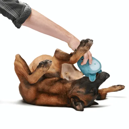 בארק צעצוע נסתר דובי הדוב האפור לכלב BARK