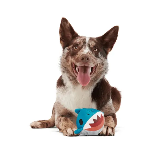 בארק צעצוע נסתר כריש לכלב BARK