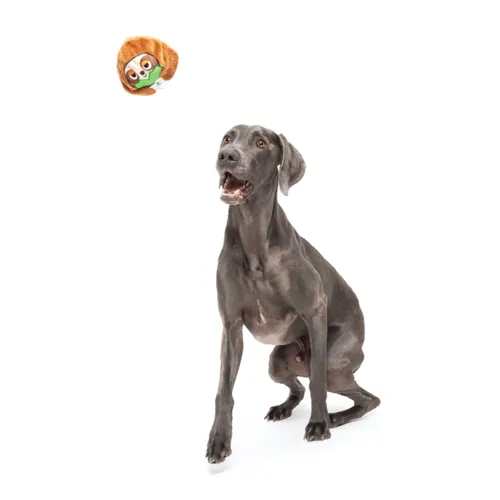 בארק צעצוע נסתר סוני העצלן לכלב BARK