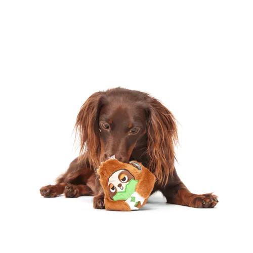 בארק צעצוע נסתר סוני העצלן לכלב BARK