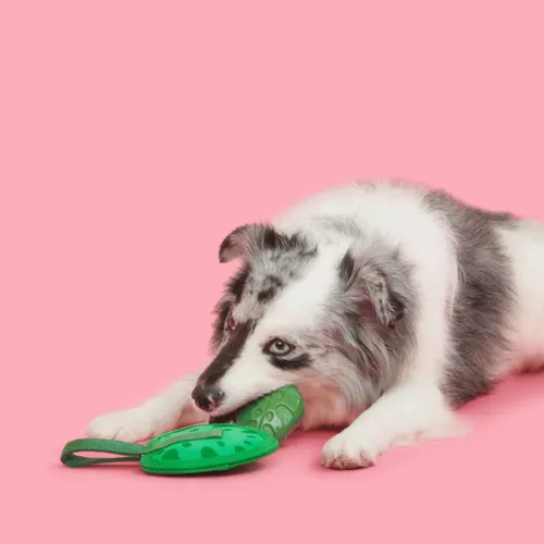 בארק צעצוע נסתר עלה ירוק לכלב BARK