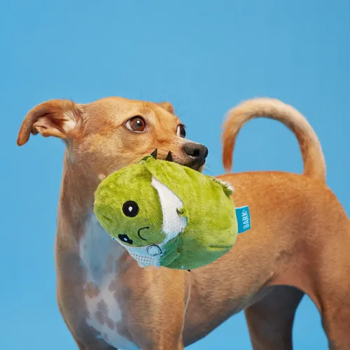 בארק צעצוע נסתר קונסואלה הקקטוסית לכלב BARK