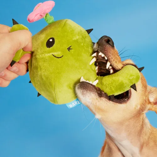 בארק צעצוע נסתר קונסואלה הקקטוסית לכלב BARK