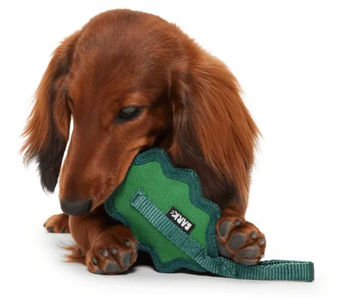 בארק צעצוע עלה לעיס לכלב BARK