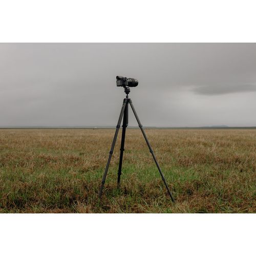 חצובת סיבי פחמן מקצועית עם ראש Peak design Pro Tripod Tall