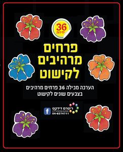36 פרחים מרהיבים לקישוט/ריטרם