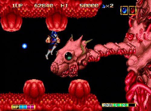 משחק לקונסולת Magician Lord Neo Geo AES+ Game Card   מכירה מוקדמת 