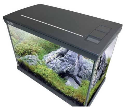 אקווריום מירבלו לד צמחיה 63X33X46 19W