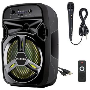 בידורית אלחוטית ניידת נטענת PROAUDIO BT-06. פרואדיו