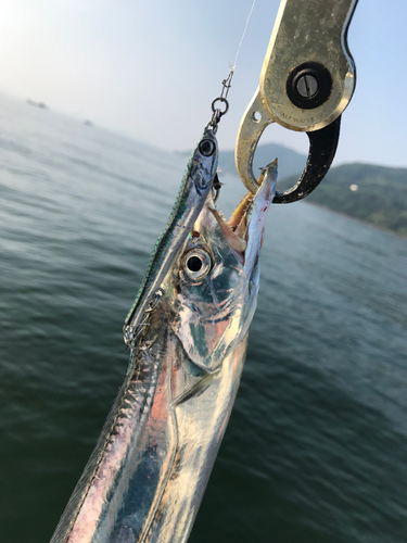 גיג LITTLE JACK METAL ADICT TYPE03 - 20G