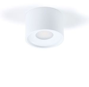 אנדרו לבן 7W