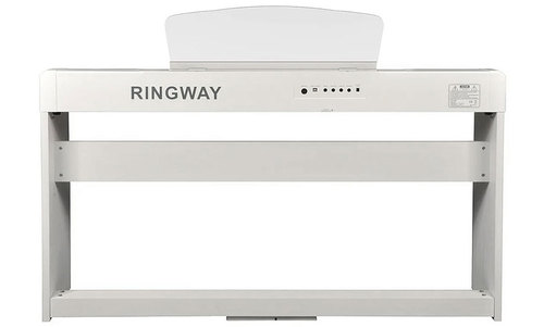 פסנתר חשמלי - Ringway RP60 - לבן כולל סטנד מלא