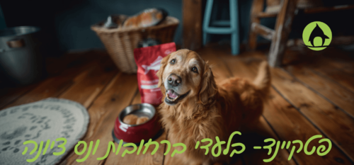 כלב אוכל פטקיינד חנות חיות רחובות נס ציונה