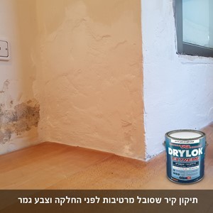 צבע אטימה נגד רטיבות ועובש DRYLOK - גלון 3.78 ליטר